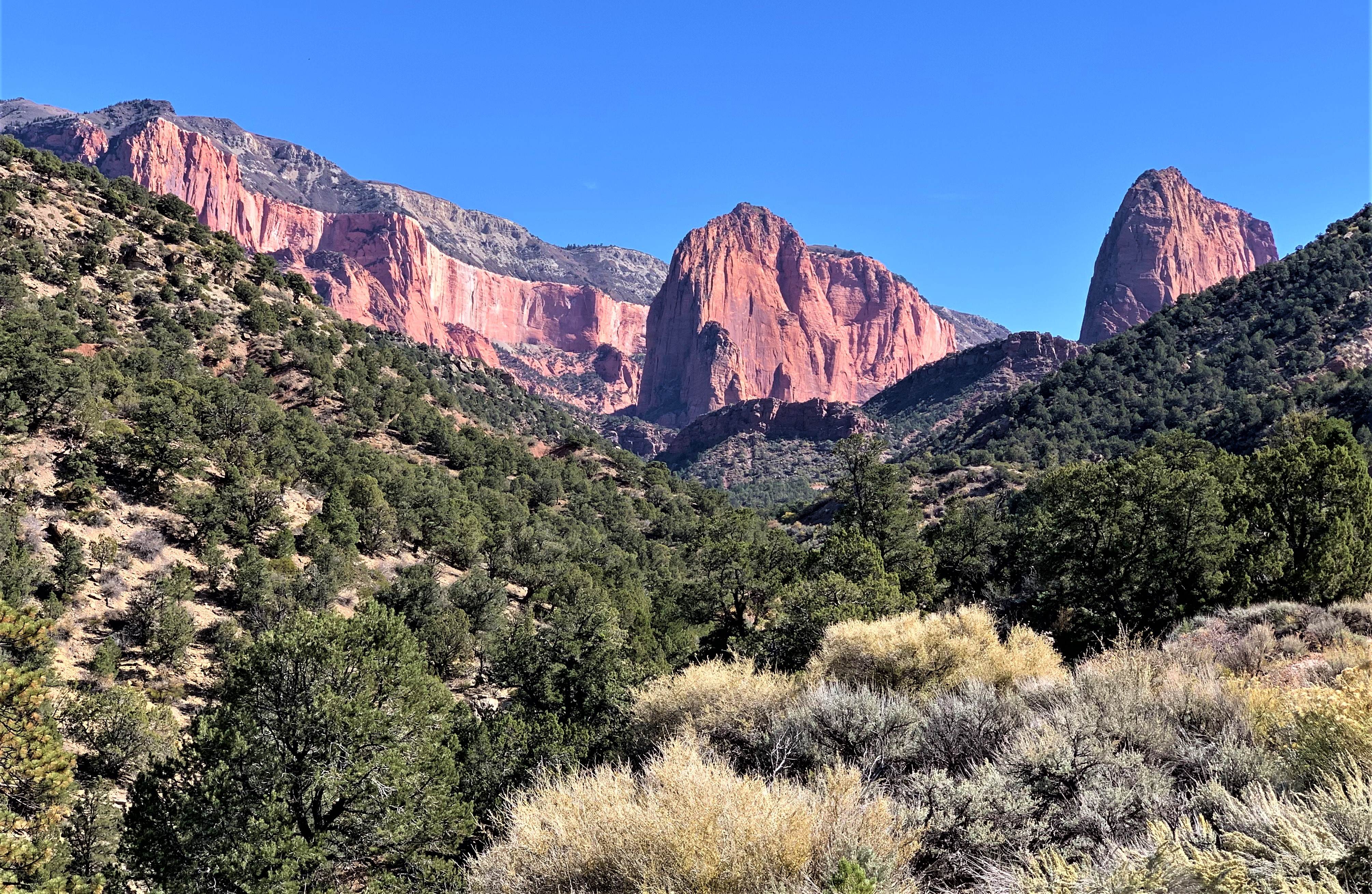 Zion NP